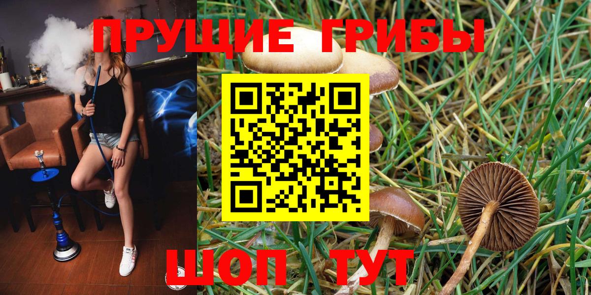 Псилоцибиновые грибы Magic Shrooms  магазин  наркотиков  Павлово  Вход с VPN 